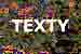 Rzn dal texty a fejetony